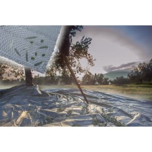 Ελαιόπανα 6*12m πυκνότητα: 100gr/m²